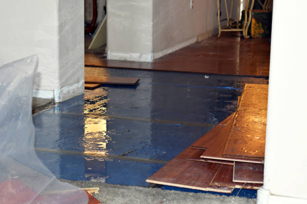 Professional Basement Flooding technician working in Kewaskum, WI